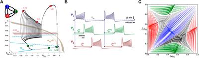 2θ-Burster for Rhythm-Generating Circuits